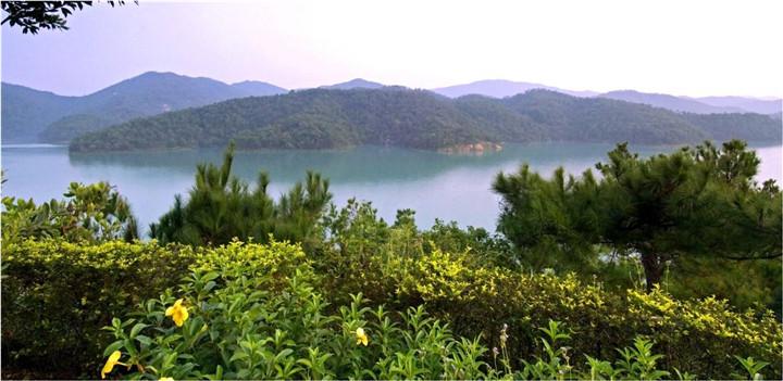 九龍湖公主酒店 九龍湖公主酒店