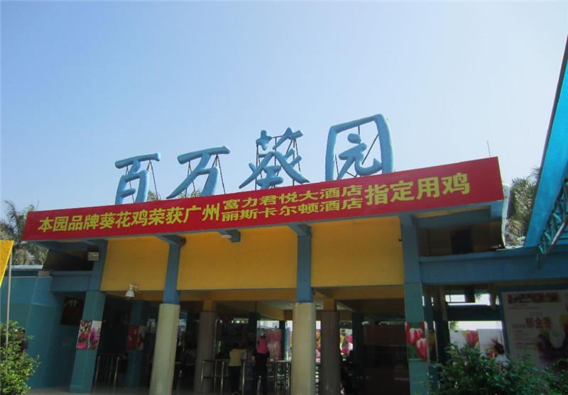 百萬葵園 百萬葵園