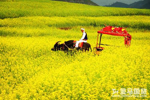 云南旅游景點(diǎn)大全